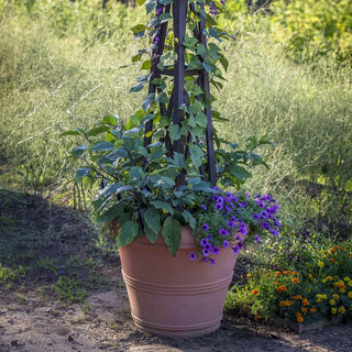 Brunello Planters
