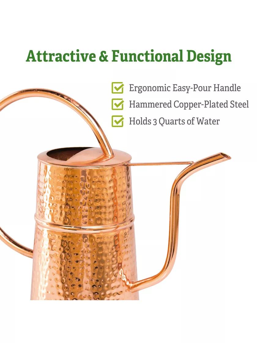 metal house plant watering can Copper Watering Can - Indoor 3 Qt Watering Can