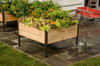 Elevated Cedar Planter Box, 4' x 4'