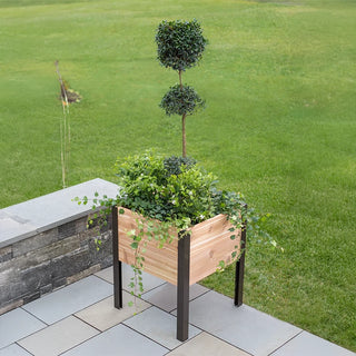 Elevated Planter Box, 2' x 2'