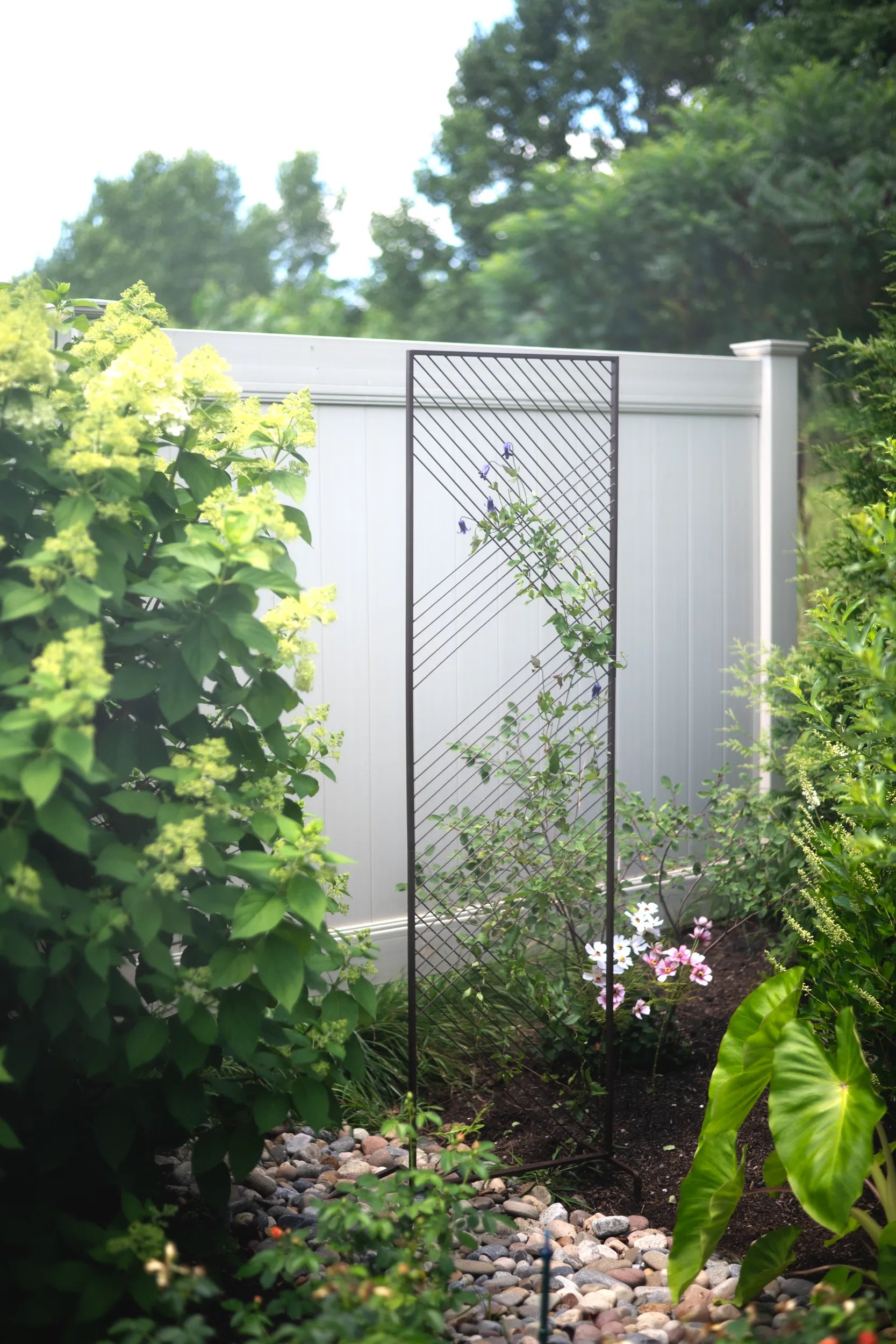 plant trellis wall Modena Wall Trellis