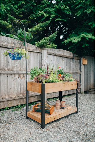 Elevated Cedar Patio Garden with Shelf, 2' x 4'