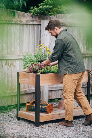 Elevated Cedar Patio Garden with Shelf, 2' x 4'