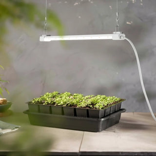 Linkable Full Spectrum LED Grow Lights