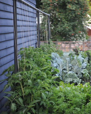 Freyr Garden Trellis