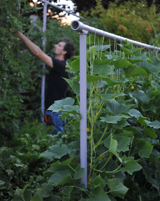 Freyr Garden Trellis