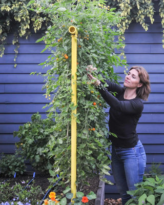 Freyr Garden Trellis