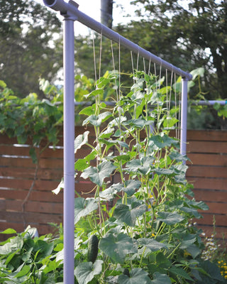 Freyr Garden Trellis