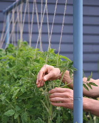Freyr Garden Trellis