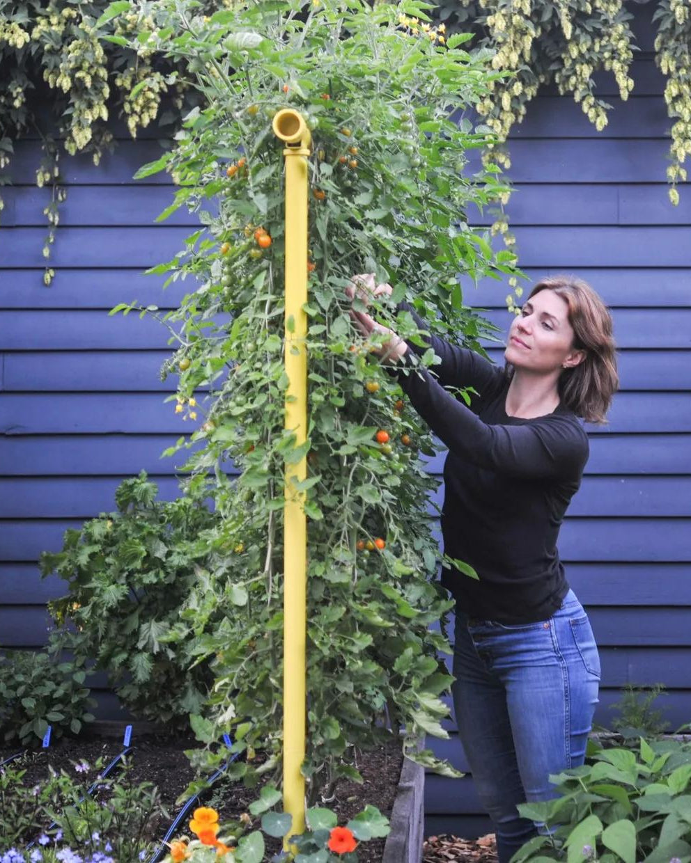 trellis for plants Freyr Garden Trellis