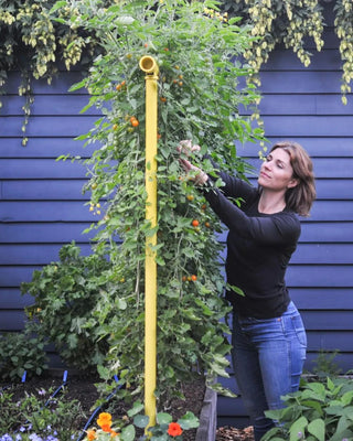 Freyr Garden Trellis