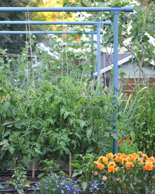 Freyr Garden Trellis