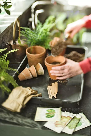  || https://assets.gardeners.com/transform/61b53cf1-a26c-426c-8d06-627a4124cf74/GS32709_04-tif