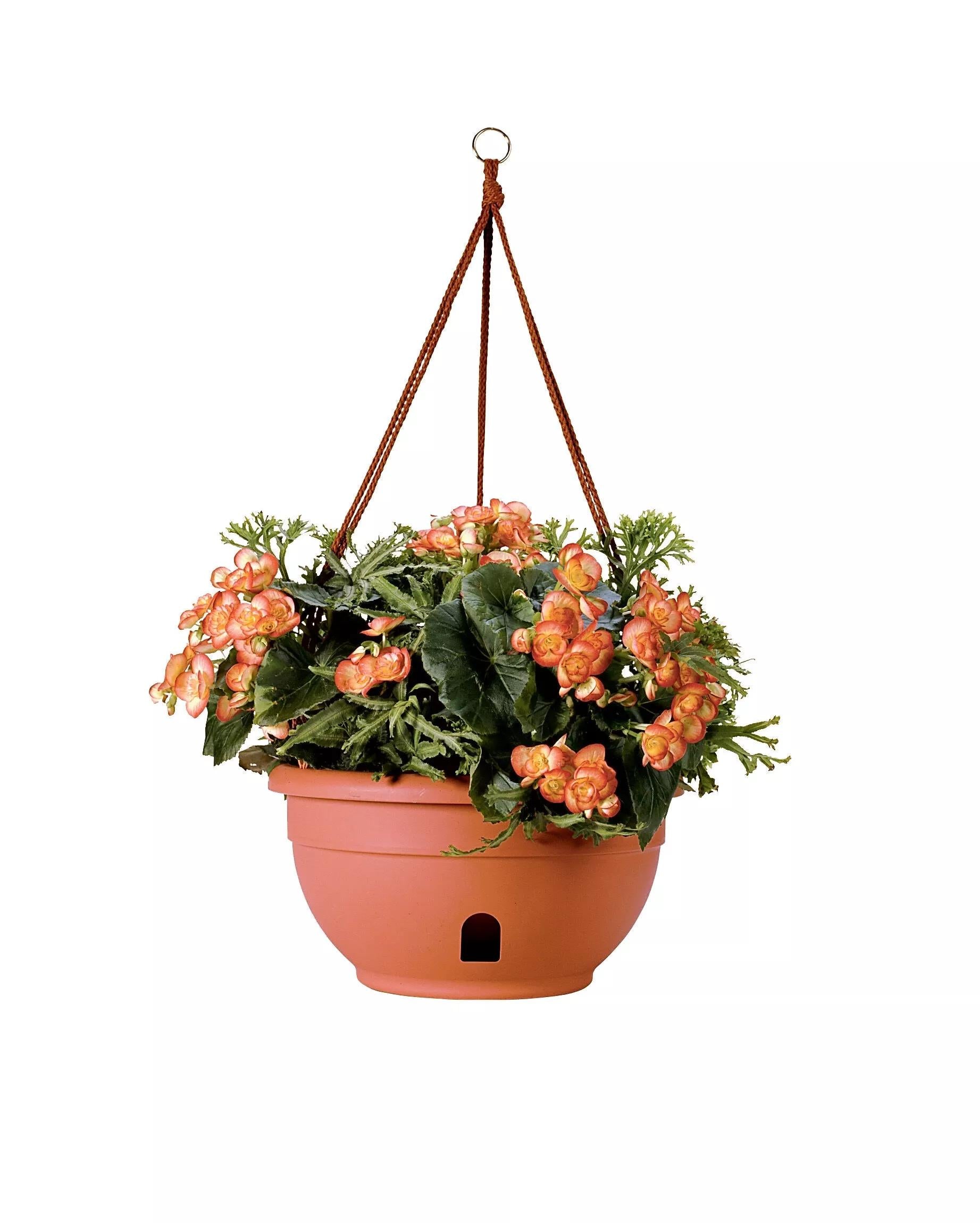 earth planter hanging basket Hanging Baskets for Plants, Self Watering