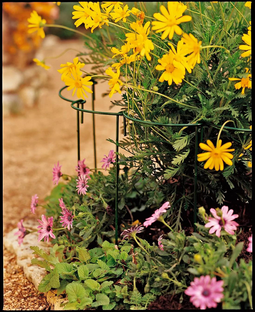 Curved Linking Stakes | Gardener's Supply.