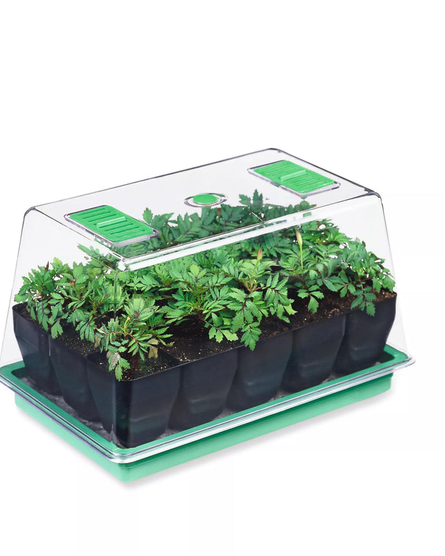 Deep Root Seed Starting Kit | Gardeners.com
