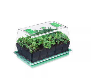  || https://assets.gardeners.com/transform/2f75f523-c44a-48df-8cb4-53550753f38a/GS35657_03Z-tif