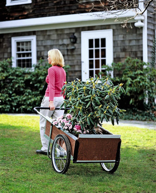  || https://assets.gardeners.com/transform/5b35e3d3-7c3c-4d82-a573-cc865bd460be/GS36499_01-tif