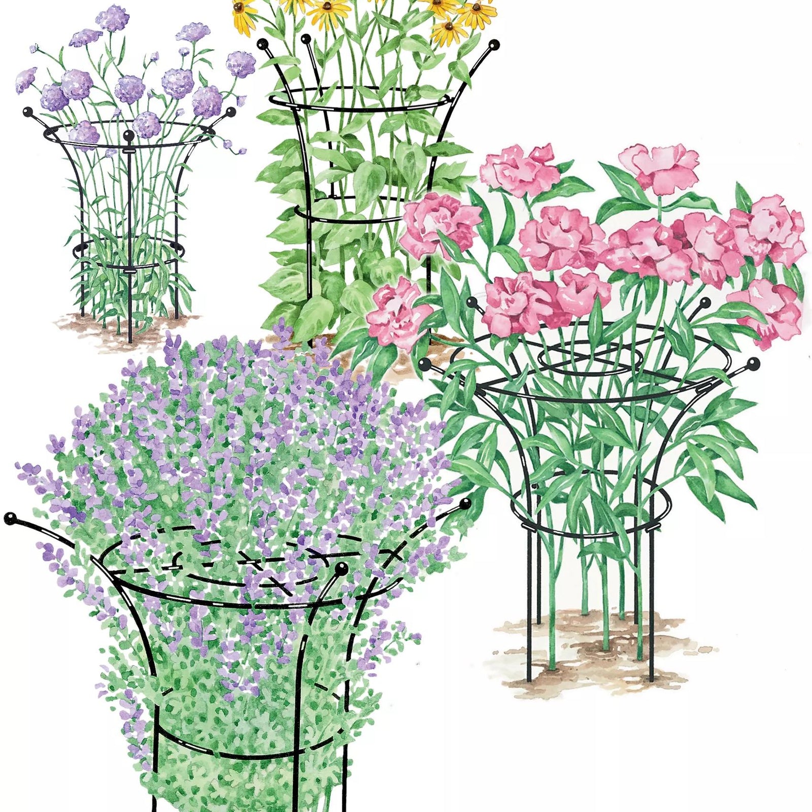 Plant Supports | Gardener's Supply