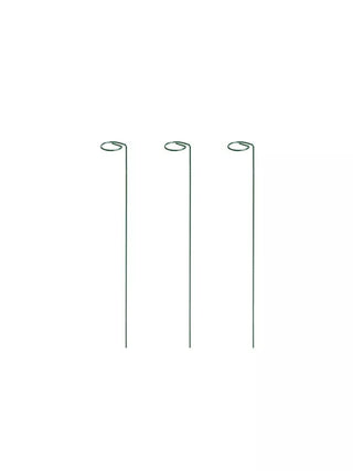  || https://assets.gardeners.com/transform/77018e9b-74c9-47b7-8996-07b18d3057b6/GS37470_03S
