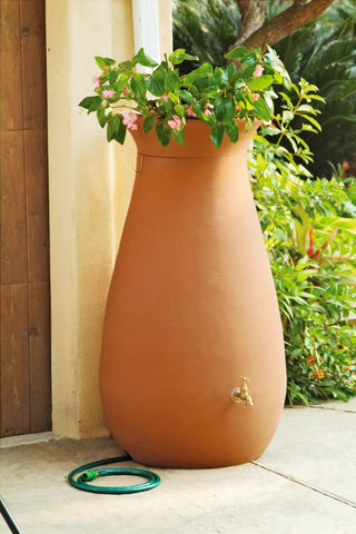  || https://assets.gardeners.com/transform/9e8088c8-85e5-4690-9fc7-ebc0a76efc7f/GS37517_01-tif
