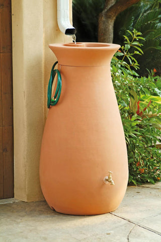 || https://assets.gardeners.com/transform/40b76dd1-e115-4301-933b-d4d4e6123257/GS37517_02-tif