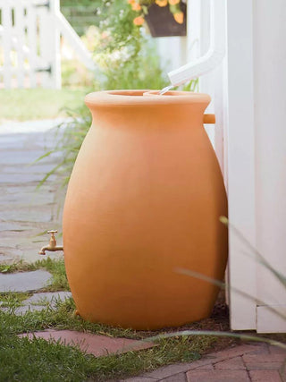  || https://assets.gardeners.com/transform/ea70c16d-4bbb-4c9e-ae68-22f47e38ccd1/GS37678_04_3-4