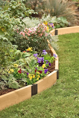  || https://assets.gardeners.com/transform/3732b1d7-9dfe-4cad-8c0f-3a84d5426361/GS37803_02-tif