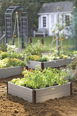  || https://assets.gardeners.com/transform/2924217d-3bdd-4888-9b71-7003427dffc6/GS38653_02-tif