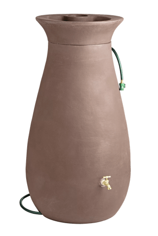  || https://assets.gardeners.com/transform/bb84de10-50b3-4507-8761-5cf25f0c1dd3/GS38683_01Z-tif