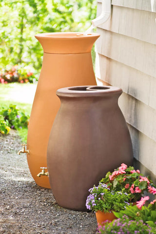  || https://assets.gardeners.com/transform/56934c10-5595-42c2-a909-8b73267f8c6b/GS38683_02-tif