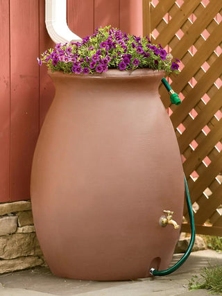  || https://assets.gardeners.com/transform/4d571562-a8d9-4e0c-9d82-c5068b20bedc/GS38684_02_3-4