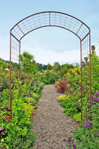  || https://assets.gardeners.com/transform/84cd8cee-f45a-41ff-b02e-488bba631f7d/GS38690_02_rose-trellis-tif