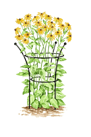  || https://assets.gardeners.com/transform/bc29d8fc-682d-432d-b8ad-f46d869d477c/GS38964_01S-tif