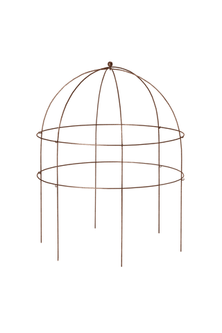  || https://assets.gardeners.com/transform/cc4d77c4-0f1c-4e0a-b6bc-cc92081cb0e5/GS39521_02S-tif