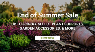 End Of Summer Sale
