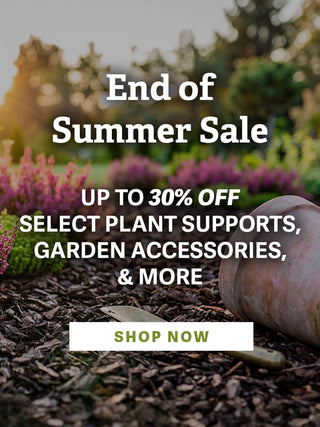 End Of Summer Sale