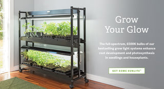  Sunlite Grow Lights