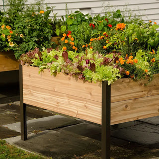Elevated Cedar Planter Box, 4' x 4'