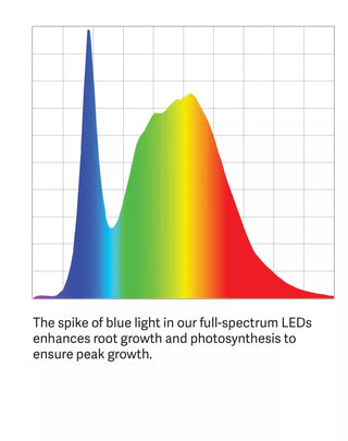  || https://assets.gardeners.com/transform/197ebe6e-304c-4dac-a067-c67e2551c1ae/LED_ColorSpectrum_grid_PDP