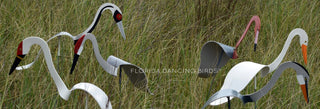 Florida Dancing Birds® Mix and Match - Buy 2 or more and get 10% off