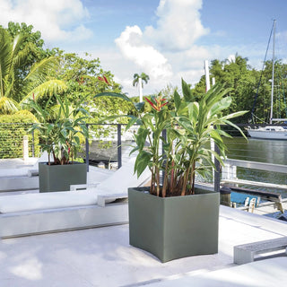 TruDrop One Pinch Planters