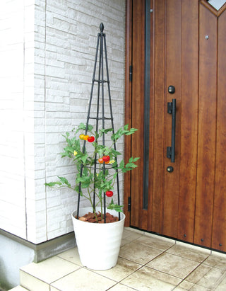 Titan™ Pyramid Trellis