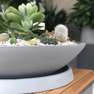Universal Round Planter Saucers