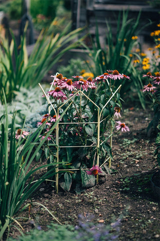 Zenith™ Flower Supports