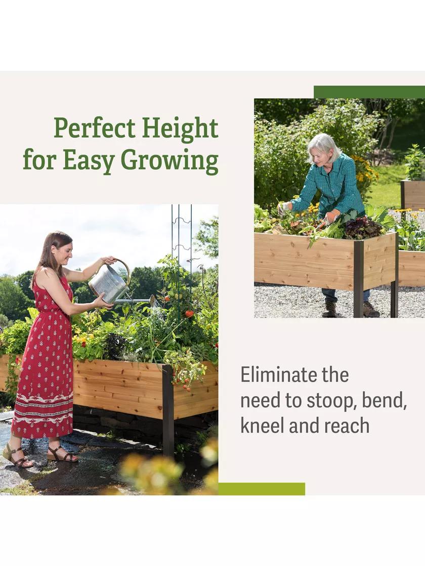 stand up garden seed planter Elevated Cedar Planter Box, 2' x 8'