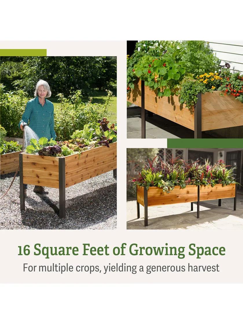self-watering eco-stained elevated 2'x8' planter box Planter Boxes: Elevated Cedar Planter Box