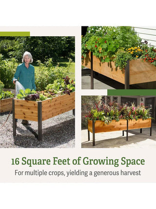  || https://assets.gardeners.com/transform/5143f1f9-cb01-47a5-92d3-d6aec73df273/b00eow8fhu_raisedbed_feature-2
