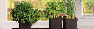Herb Garden Make &amp; Take - Greenland, NH