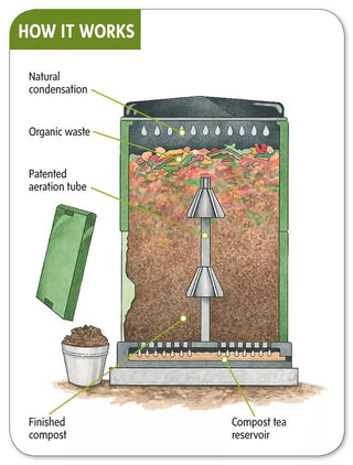  || https://assets.gardeners.com/transform/050f8dc1-64f5-40b6-be94-8b651f44b43a/hiw_38-183-jpg